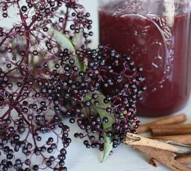 frugal homemaking tips ideas for saving money every day, Make Your Own Elderberry Syrup Keep Your family healthy for less