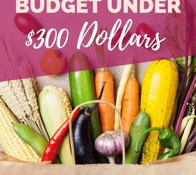 how-to-meal-plan-on-a-tiny-budget-simplify