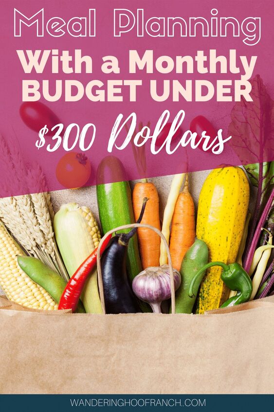 how to meal plan on a tiny budget