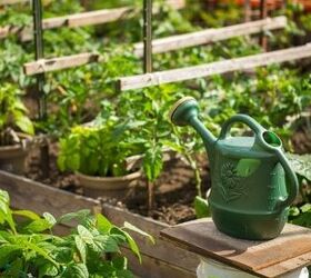 10 Cheap Vegetable Garden Ideas
