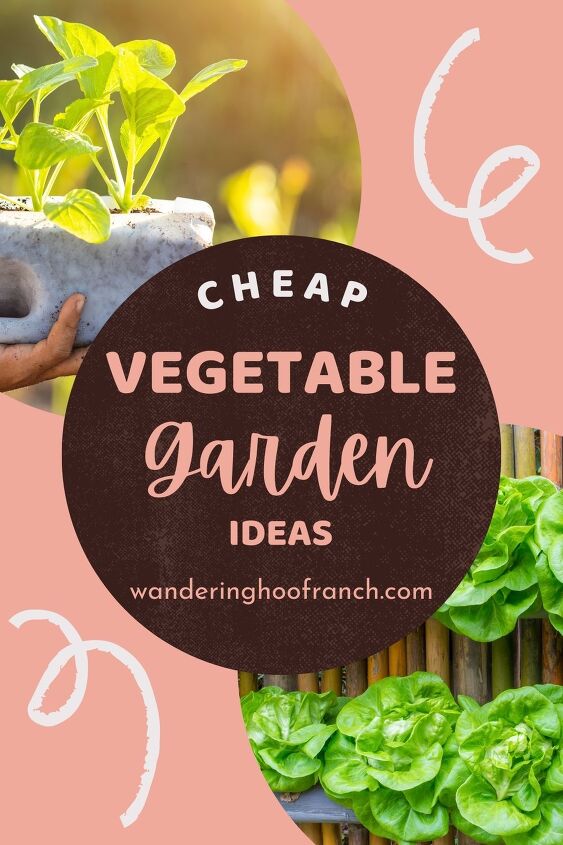 10 cheap vegetable garden ideas