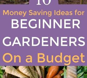 10 cheap vegetable garden ideas
