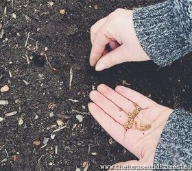 12 hacks to make this spring your most frugal one yet