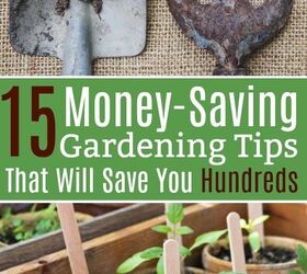 15 money saving gardening tips that will save you hundreds