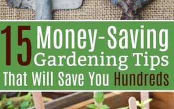 15 Money-Saving Gardening Tips That Will Save You Hundreds