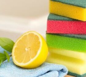 Ten Tips for a Cleaner Greener Home and Lifestyle