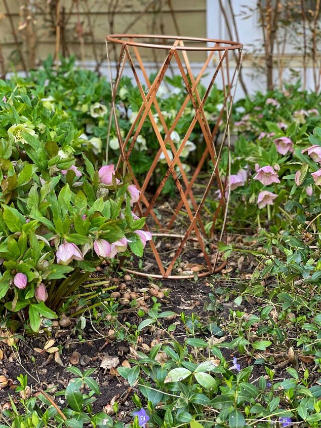 spring gardening hacks that save you money, Hellebores with my Linda Vater plant support