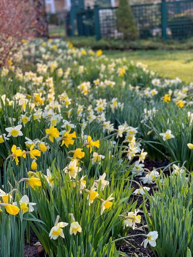spring gardening hacks that save you money