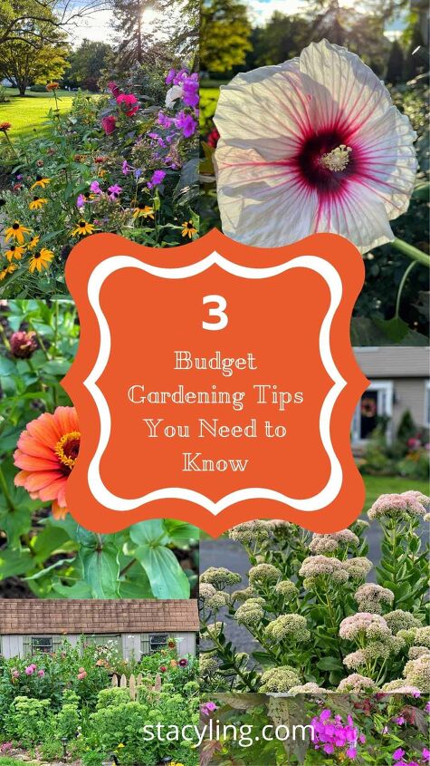 how to save money at the garden nursery