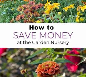 how to save money at the garden nursery