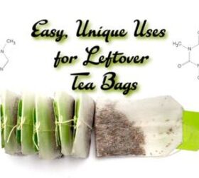 Easy, Frugal, and Unique Uses for Leftover Tea Bags