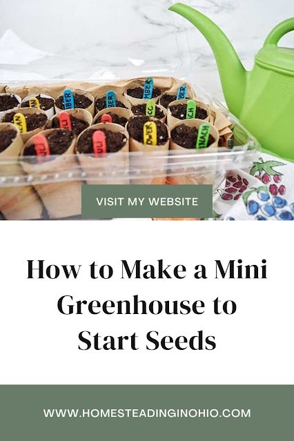 how to make a mini greenhouse from recycled materials