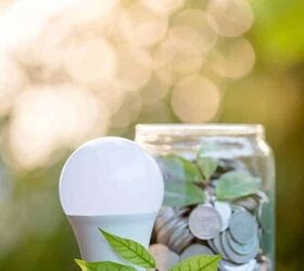 How to Save Money So You Can Go Green!