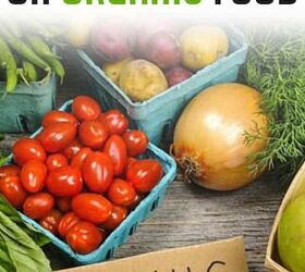 How to Start Saving Money on Organic Food