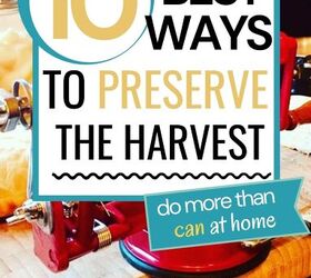 10 best methods for food preservation at home