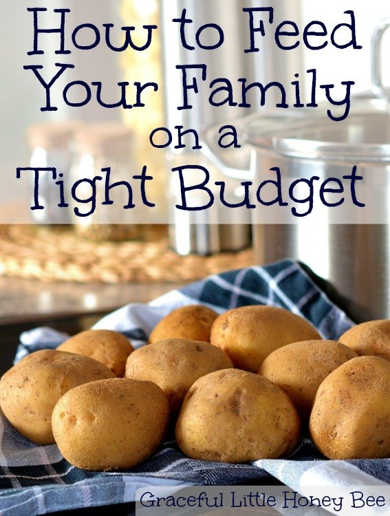 how to feed your family on a tight budget
