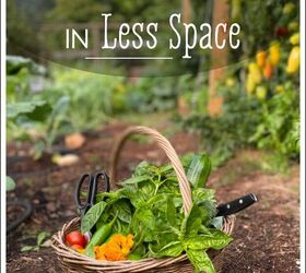 how to grow more food in less space