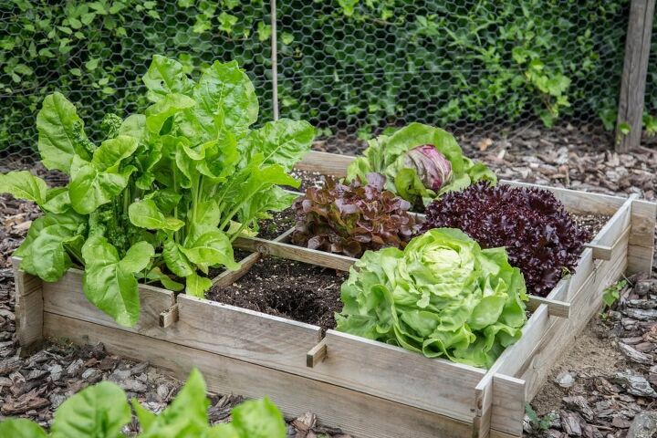 how to grow more food in less space