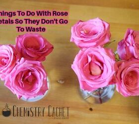 things to do with rose petals so they dont go to waste