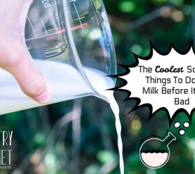 The Coolest Scientific Things To Do With Milk Before It Goes Bad