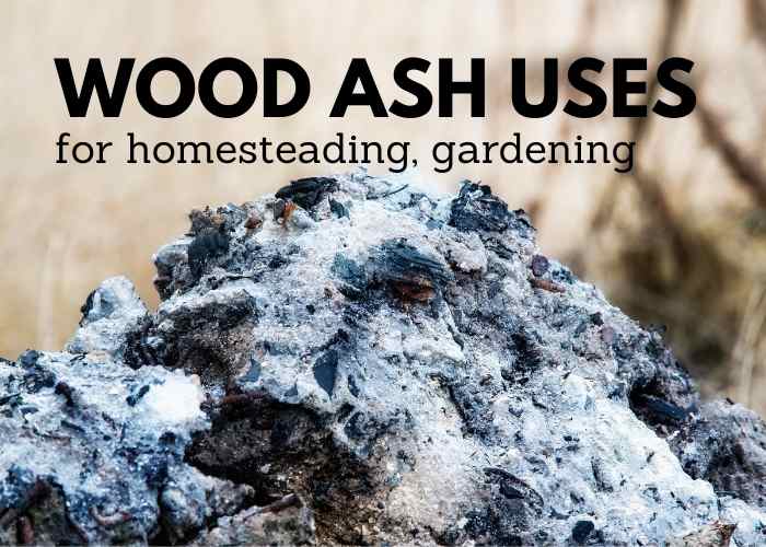 what can wood ash be used for 15 wood ash uses for homesteading