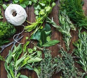 How to grow your own delicious herbal teas (indoors & outdoors)!