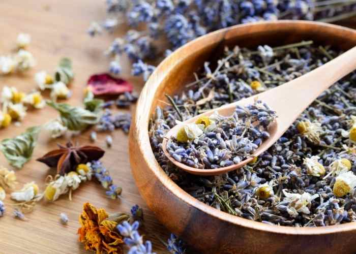 how to grow an herbal tea garden indoors or outdoors