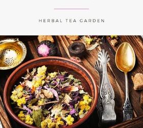 how to grow an herbal tea garden indoors or outdoors
