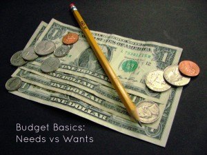 budget basics needs vs wants