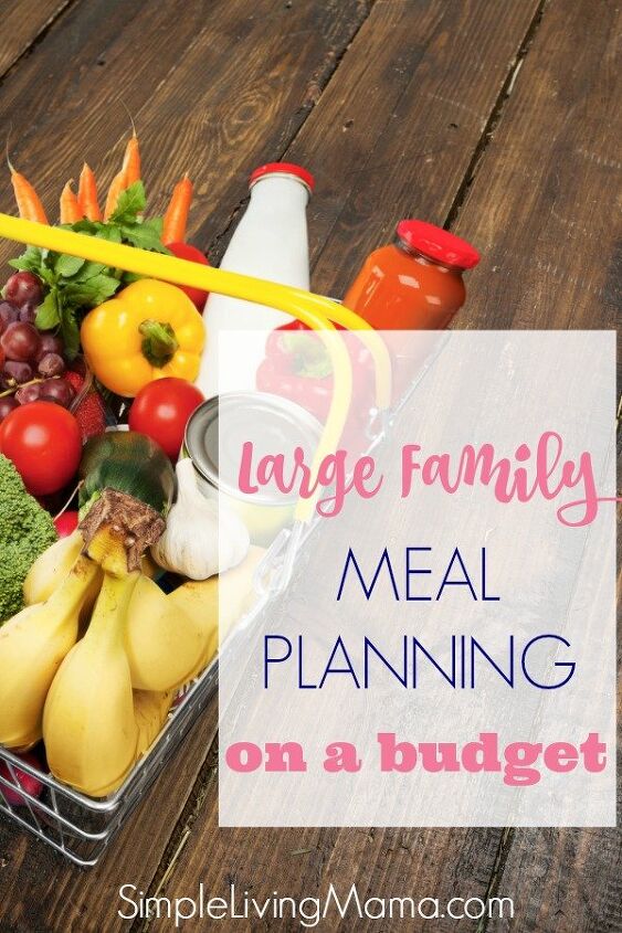 large family meal planning on a budget