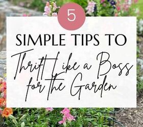 5 simple tips to thrift like a boss for the garden