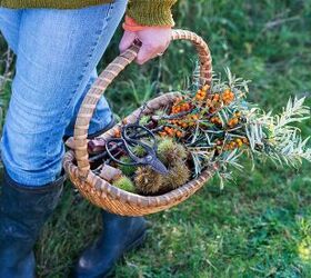 how retiring off the grid allows this couple to live allergen free, Art and Mary grow and forage their own food