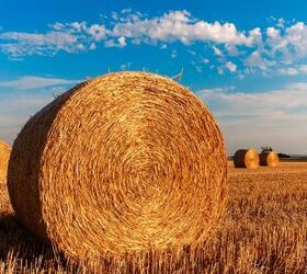 You Won't Believe This Tiny Straw Bale House Is Made Out of Hay