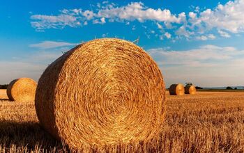 You Won't Believe This Tiny Straw Bale House Is Made Out of Hay