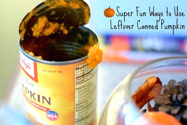 super fun ways to use leftover canned pumpkin
