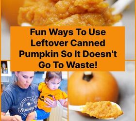 super fun ways to use leftover canned pumpkin