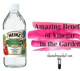 Amazing Benefits of Vinegar in the Garden Plus Why It Works