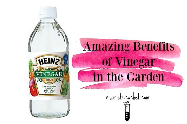amazing benefits of vinegar in the garden plus why it works
