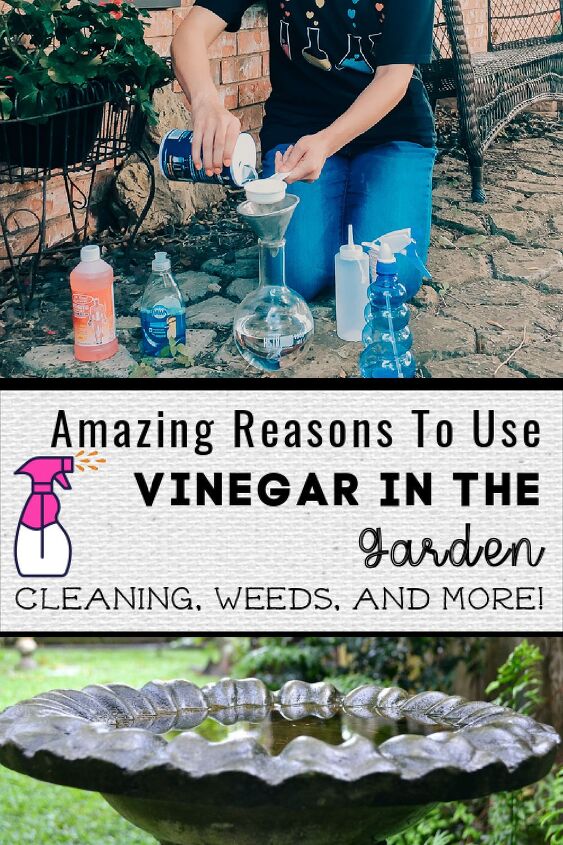 amazing benefits of vinegar in the garden plus why it works