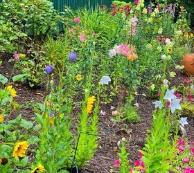 three garden tips that will make your life easier