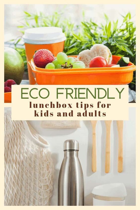 how to pack an eco friendly lunchbox