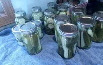 How to Make Pickles: Kosher Ball Canning Recipe With Fresh Dill