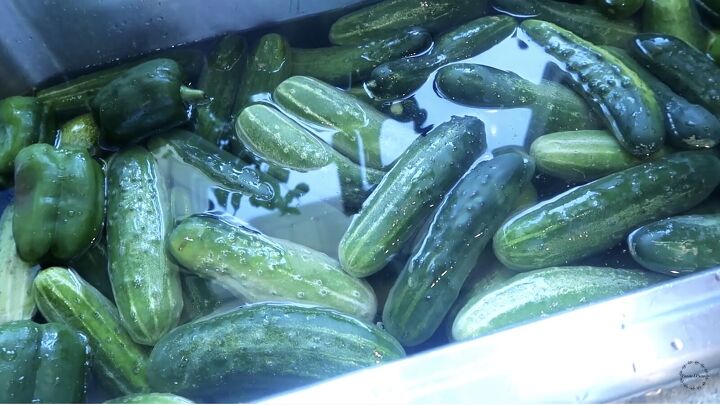how to make pickles kosher ball canning recipe with fresh dill, Washing cucumbers and peppers