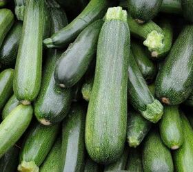 These methods for preserving zucchini are super frugal AND tasty!