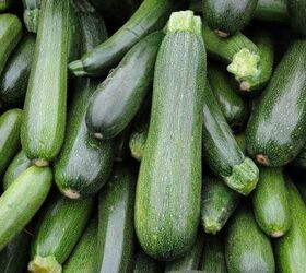 how to preserve zucchini squash