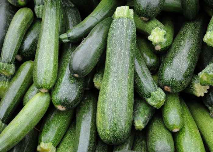 how to preserve zucchini squash