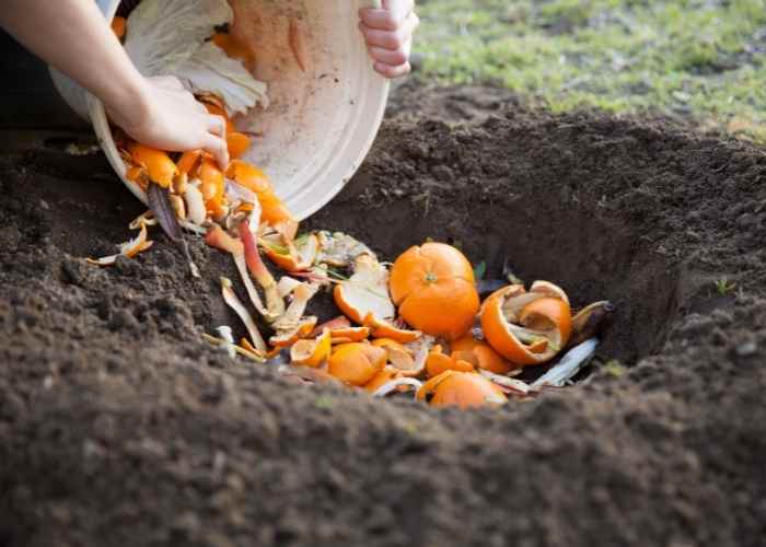 direct composting method for busy homesteaders