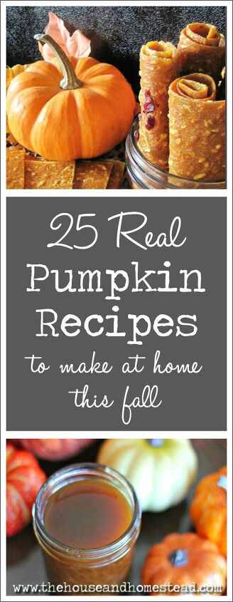 25 real pumpkin recipes to make at home this fall
