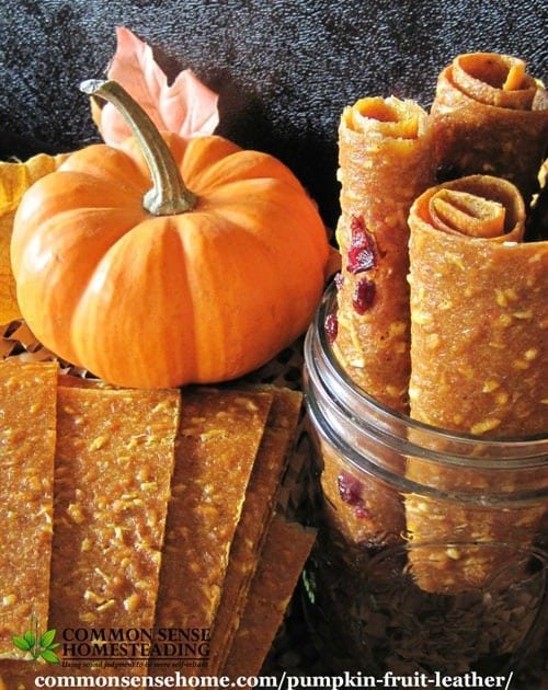 25 real pumpkin recipes to make at home this fall