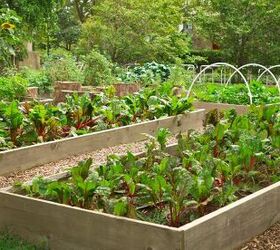 9 ways to get ready for food shortages, Community garden